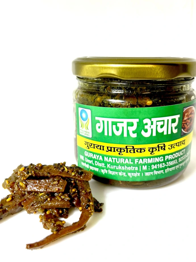 Carrot Achaar (गाजर का अचार) 250 Gram