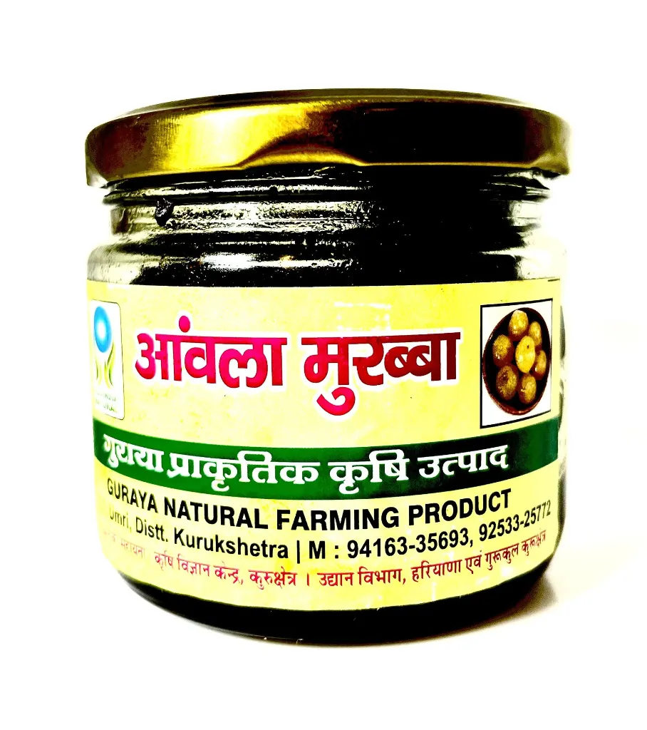 Amla Muraba (आंवला मुरब्बा) 250 Gram